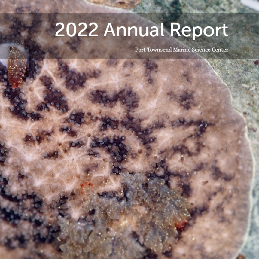 2022%20Annual%20Report%20cover%20tile.png