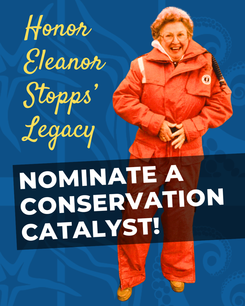 ESELA%202024%20Call%20for%20nominations.png