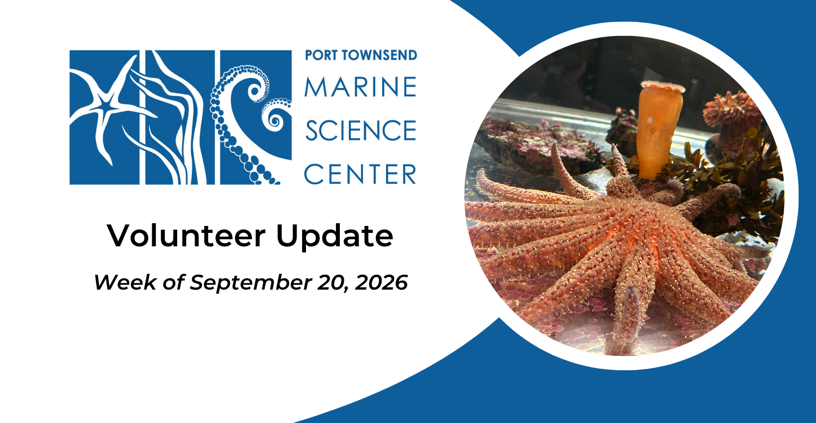 Volunteer%20Update%20(1640%20x%20850%20px)%20(39).png