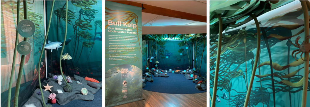 bull_kelp_exhibit_screenshot_website.png