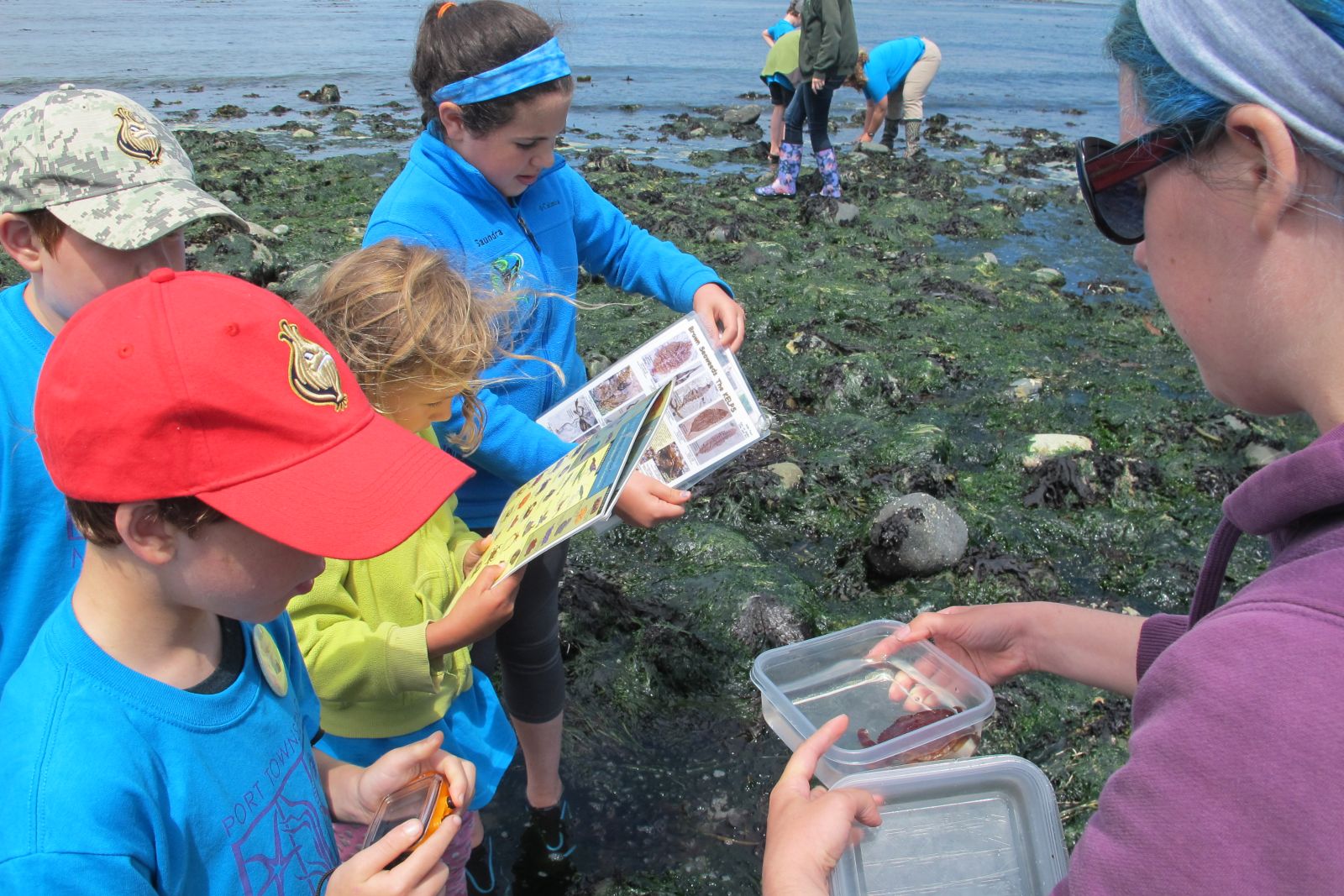 camp-2017-coastal-explorers-ce-beach.JPG