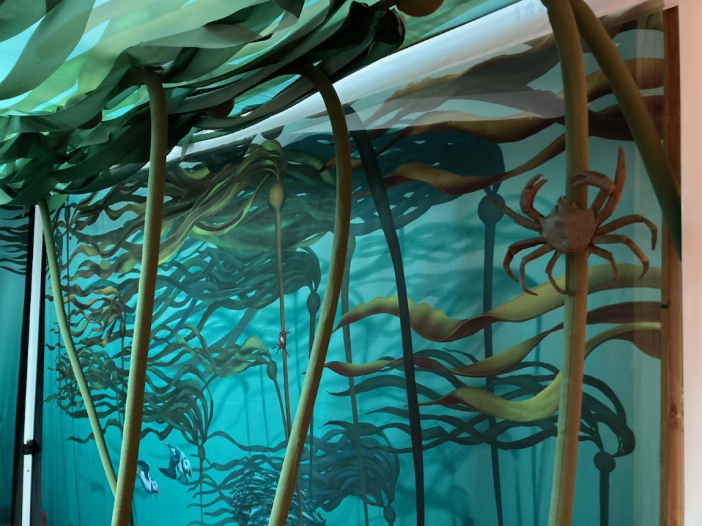 kelp-forest-interior-detail-1-1024x768.jpg