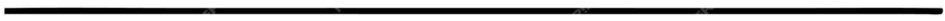 line%20divider%20for%20newsletter.jpg