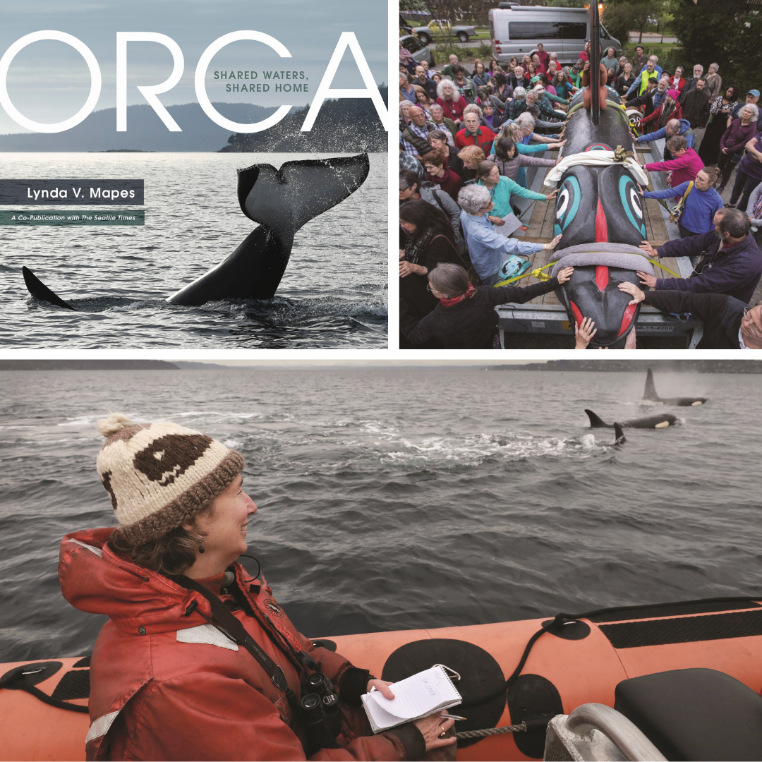 orca%20shared%20waters%20shared%20home.png