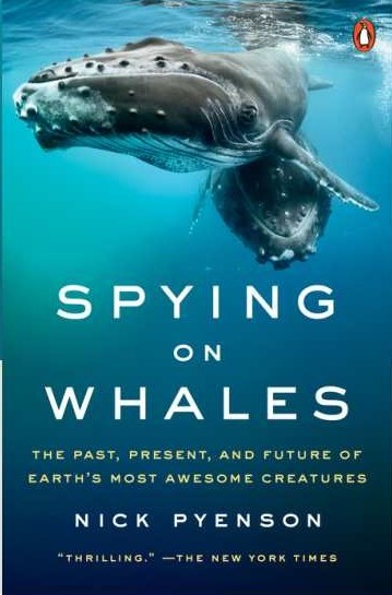 spying%20on%20whales.jpg