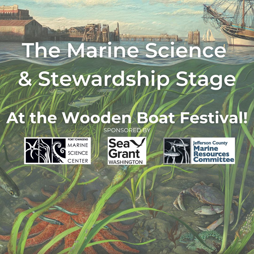 wbf-marine%20science%20stage-graphic-3-USE.jpg
